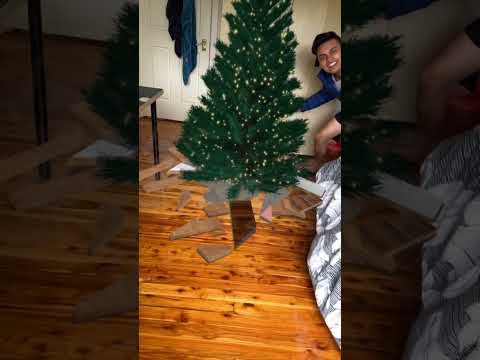 Hidden Secret Christmas Tree 🎄 #shorts