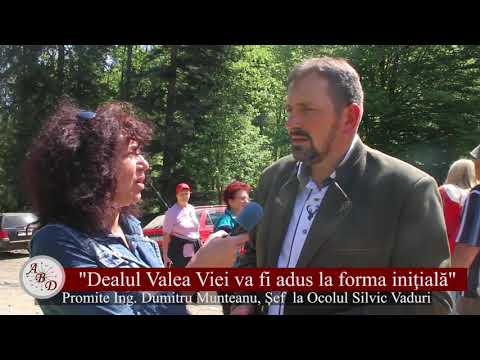 Dealul Valea Viei va fi adus la forma inițială!