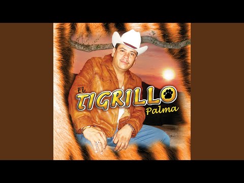 La Novia Del Pajarillo