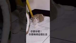 Download lagu IG: naiping0726 亞洲父母!?🤣奶瓶的表情太到位了!你們猜猜他心裡的想法是什麼? mp3 Download lagu IG: naiping0726 亞洲父母!?🤣奶瓶的表情太到位了!你們猜猜他心裡的想法是什麼? mp3