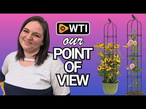 Garden Obelisk Trellis - WTI product video review