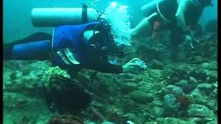 Diving Alma Jane 2008.avi