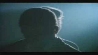 sugar minott - international herb