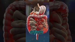 Download lagu 5 Herbal untuk membantu kesehatan usus Anda! mp3