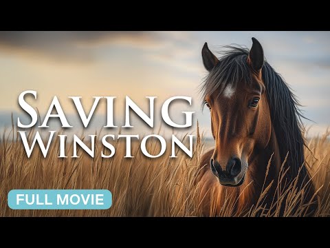 Witness21  2025 05 23