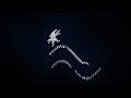Peugeot Logo Effects Round 1 With Megan Woodmansee