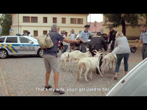 Film Trailer: Teorie tygra / Tiger Theory