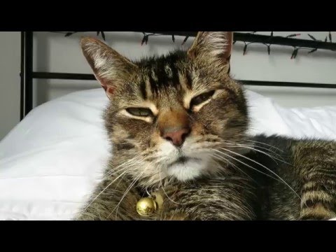 Driving Back Home (03.04.2016) Day 1707