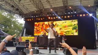 Apache Indian Movie Over India Summerstage 2017