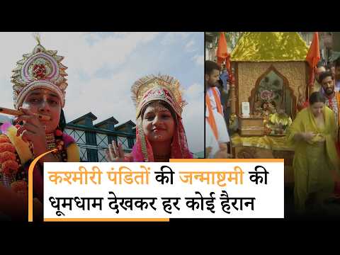 Kashmiri Pandits ने इस बार खुल कर मनाई जन्माष्टमी, डर भागा और सुरक्षा का विश्वास मन में जागा Kashmiri Pandits ने इस बार खुल कर मनाई जन्माष्टमी, डर भागा और सुरक्षा का विश्वास मन में जागा