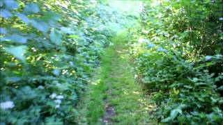Natur i sammenhør med Emilie Simon - Chanson De Toile