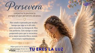 MENSAJE DEL ARCÁNGEL MIGUEL 💌 "TU ERES LA LUZ" Enseñanza Espiritual