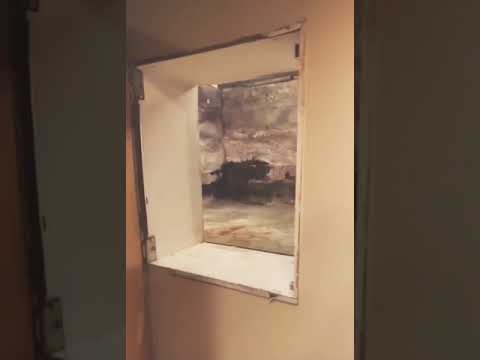 This Apartment Comes with a Mirror