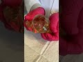 How Strong is a Breast Implant? Watch Dr. Doherty Cut Open a Breast Implant & Discuss the Results