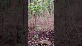 Download lagu #hindisong #bollywood #love #music mp3 Download lagu #hindisong #bollywood #love #music mp3