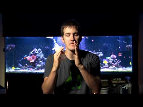 Mr. Saltwater Tank TV Friday AM Quick Tip #140: Holds Like Epoxy and Sets Up Like Super Glue