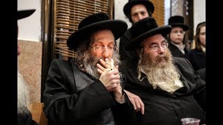 הרב אלימלך בידרמן - ניגון 'יה ריבון' בהילולת ה'בת עין' - Rabbi Elimelech Biderman