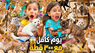 قضينا يوم كامل مع 300 قطة 😱 اغرب تجربة قطة شريرة خرمشت صفا ولولو  😭