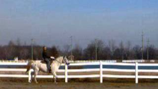 preview picture of video 'Louie Rides FOUNDATION APPALOOSA SHUFFLER'