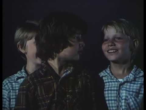 Die Kinder vom Mühlental 06 - Vogelschäuchen / Groschny ist verschwunden