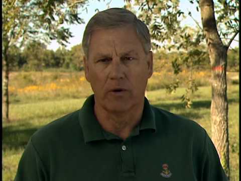 Agroforestry Practices - Silvopasture