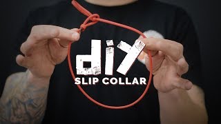 DIY Dog Training Collar- America
