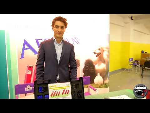 Taku Boutique Grooming Internship 2018 - Interview with Aesculap
