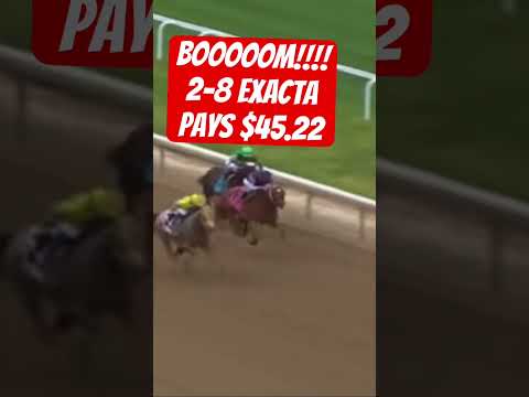 The results of todays bets in the 2024 Kentucky Derby first points race ! #horseracing