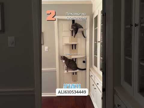 Топ подборка для котиков из AliExpress! #вб #wildberries #вайлдбериз #находки #дом