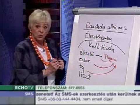 A bélgomba egy parazita