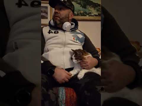 Our lovely Suzi is sick and old --------------------------------------------------------