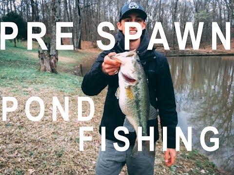 How to Fish Small Ponds - Bass Fishing Tips