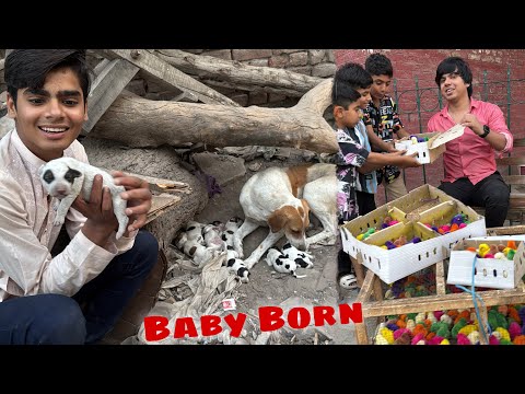 Street Dog Ny Bacha Da dea 🥳 Chicks For Sale 😅