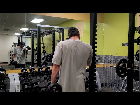 Bulk Day 102 - Arms Tracking Calories Can Change Eating Habits