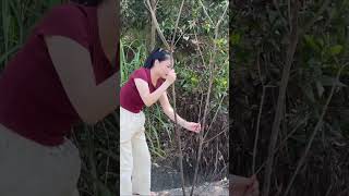 Download lagu 04 - Met a Beautiful Girl in a Remote Mountain Village mp3