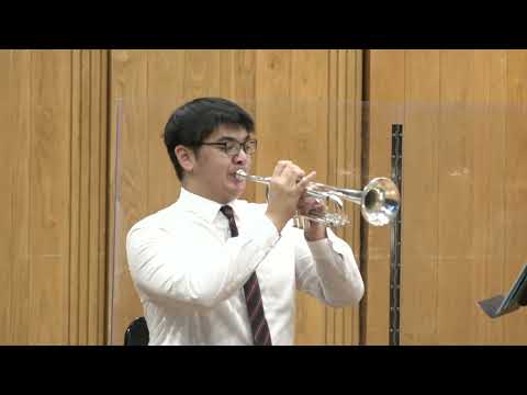 Victor Ewald: Brass Quintet No.1 in Bb Minor, Op.5 - 1st movement / DBS Brass Quintet