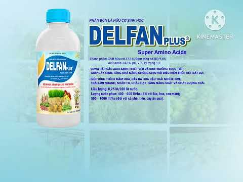 PHÂN BÓN LÁ DELFAN PLUS | SIÊU RA HOA - SIÊU ĐẬU TRÁI - SIÊU TĂNG TRƯỞNG