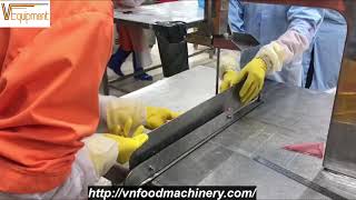 Video 1