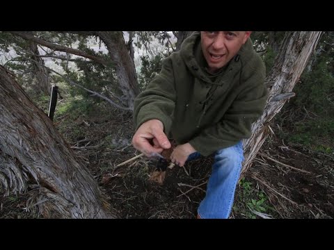 ReadyMan Tutorial on Wilderness Scouting and the Rule of 3's