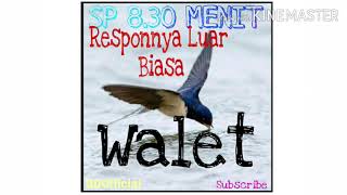 Download lagu SP 8.30 MENIT RESPONYA ADUHAI BIKIN HATI ADEM mp3
