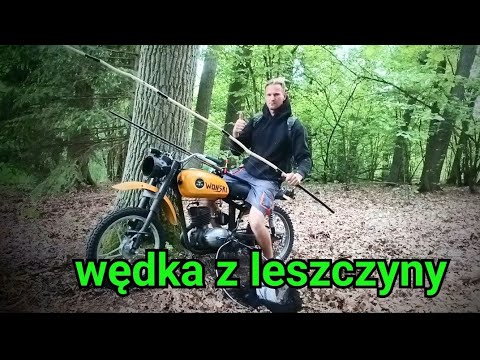 what to catch with a hazel rod on a float #fishing