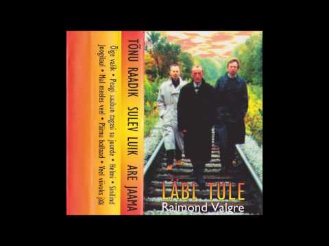 Sulev Luik Tõnu Raadik Are Jaama - Veel Viivuks Jää