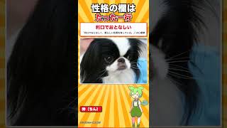 【犬種シリーズ #37】ペリーが持ち帰り、英国女王に献上された日本の犬｜狆