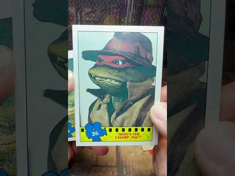 Random Rip - Teenage Mutant Ninja Turtles - pt 1 - All Time Film, All Time Set