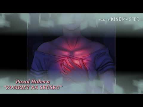 Pavol Habera - ZOMRIEŤ NA SKÚŠKU