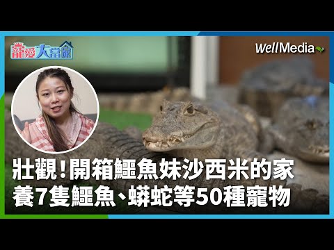 壯觀！鱷魚妹沙西米養7隻鱷魚！蟒蛇、土撥鼠等超過50種寵物 開箱沙西米家的小小動物園！【寵愛大當家】 (上集)