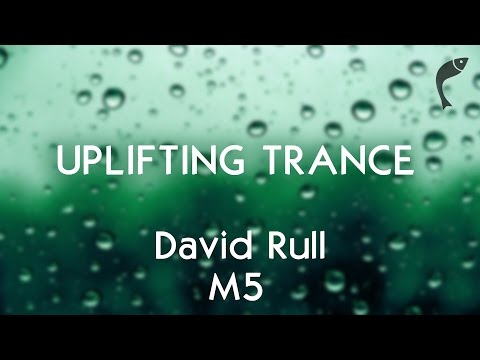 David Rull - M5 [Vendace Records] {melodic uplifting trance}