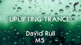 David Rull - M5 [Vendace Records] {melodic uplifting trance}