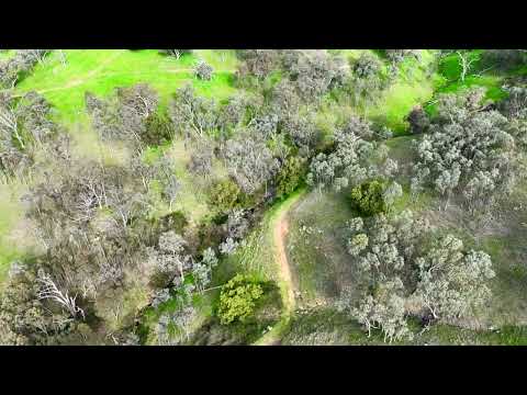 . Packers Road, Bethanga, VIC 3691, 0 chambres, 0 salles de bain, Lifestyle Property