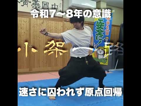 【八極拳】衝拳【40歳】#武術